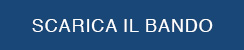 https://www.cnrimini.com/wp-content/uploads/2022/08/scarica-il-bando.jpg